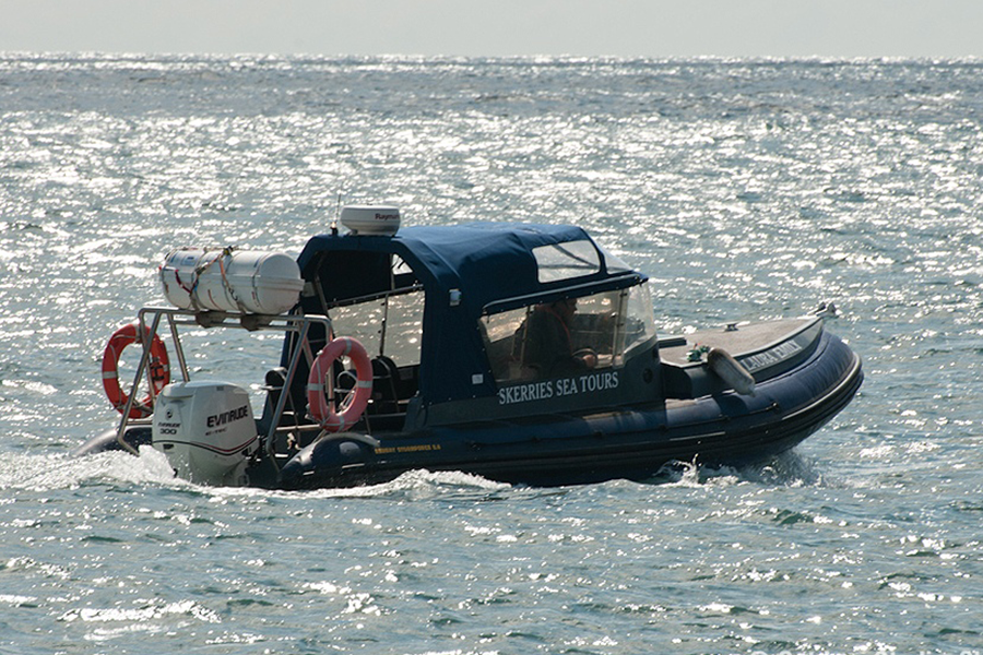 Skerries sea tour dublin